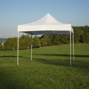 Barnum 9m2 (3x3 Pro 45mm blanc)