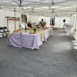 BARNUM PRO 66m2 (11X6m)